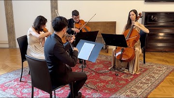 Ed Sheeran: Perfect (arr. for string quartet)