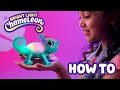 Little live pets  bright light chameleon  how to care and play