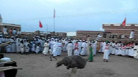 Sudan sufi ziker Sammaniyya Omaidan Friday evening