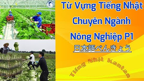 Từ Vựng Tiếng Nhật Chuyên Nghành Nông Nghiệp Phần 1- Tiếng Nhật Kantan