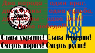 Чечня и Украина. Что роднит и объединяет эти два народа, эти две страны?