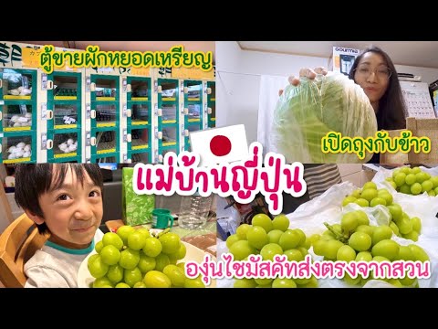 ผลสลากกินแบ่งรัฐบาล วันที่ 1 พย. 2567 ผลสลากกินแบ่งรัฐบาล วันที่ 1 พย. 2567