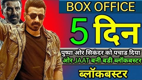 JAAT Box Office Collections, Sunny Deol, Randeep Hooda, Jaat 4th Day Collection WORLDWIDE