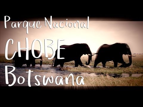 Parque Nacional Chobe, Botswana