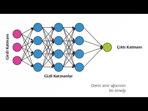 Video: Yapay sınır nedir?