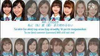 Laburador Retriever Mnl48 (Color Coded)