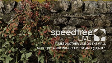 Just Another Vine on the Wall | Part 1