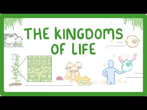 Kingdoms of Life - Animals, Plants, Fungi, Protoctists, Bacteria and Viruses