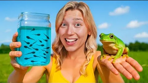 Raising Tadpoles to Frogs (100 Day Evolution) 