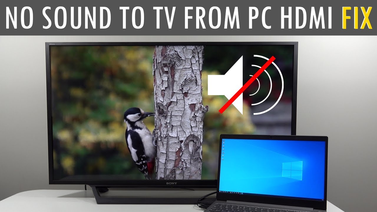 No Sound Coming From TV When Laptop HDMI🔸EASY & SIMPLE FIX🔸 -