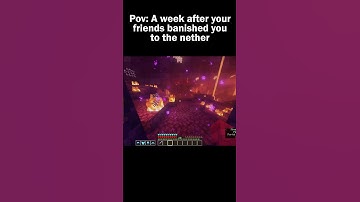POV: A week after your friends banished you to the nether