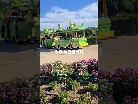 경주 비단벌레차 첨성대 투어 필수코스