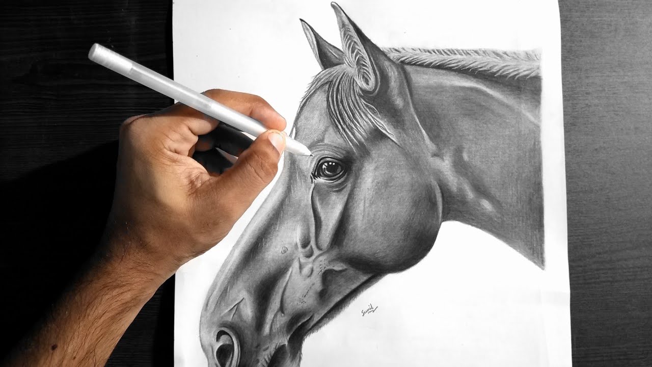 how to draw a realistic horse