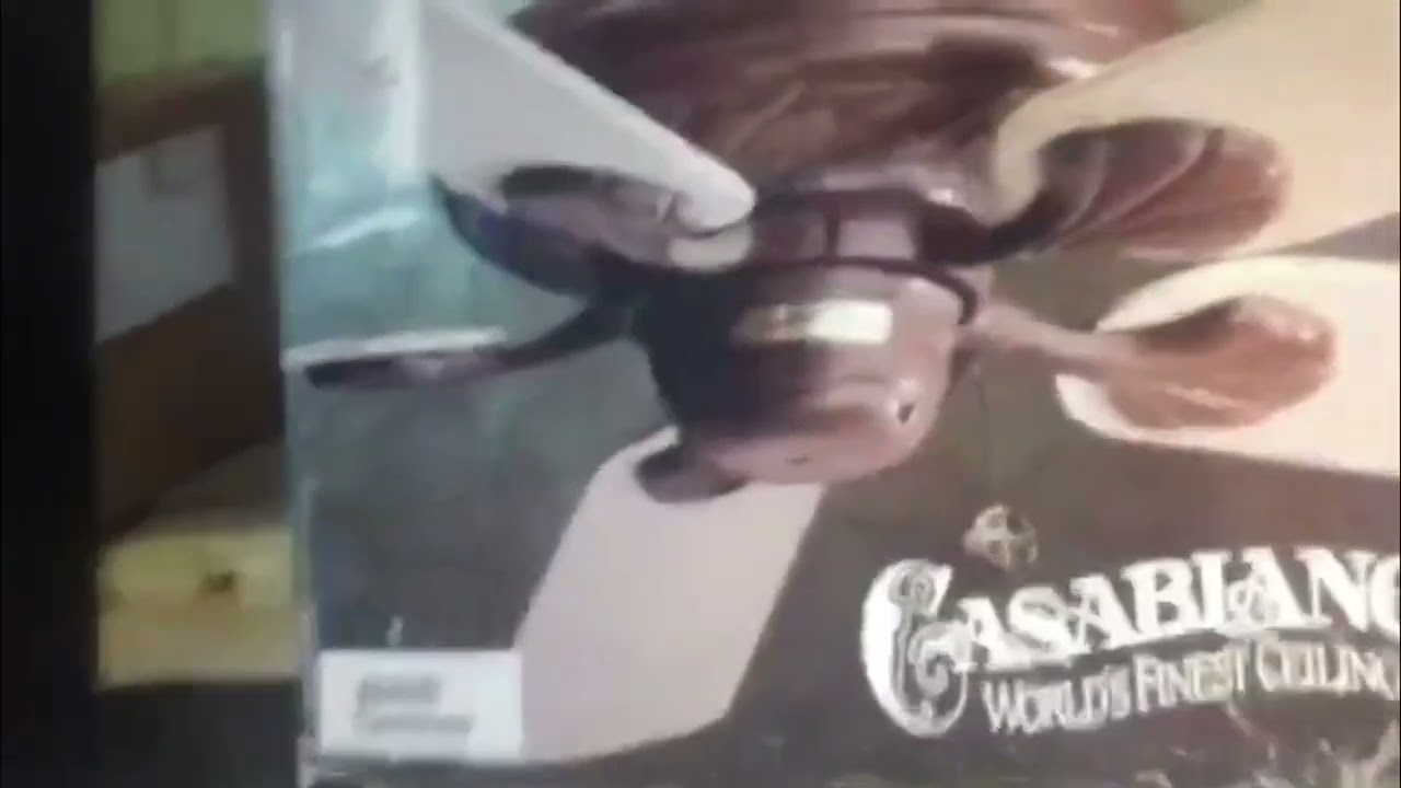 Shopping for Ceiling Fans on eBay (Old Video)
