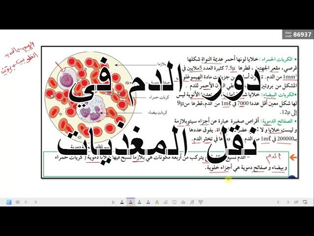 الدرس 6:دور الدم في نقل المغذيات علوم طبيعية للسنة الرابعة