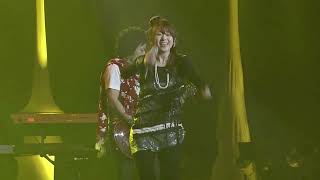 [Video ver.] Cherry Filter - 낭만고양이 (Romantic Cat) [KOR / ROM / ENG Lyrics] #kpop