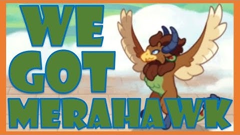 We Got Merahawk!!! Prodigy Math