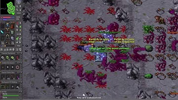 Muerte al bot - Tibia Para Mac