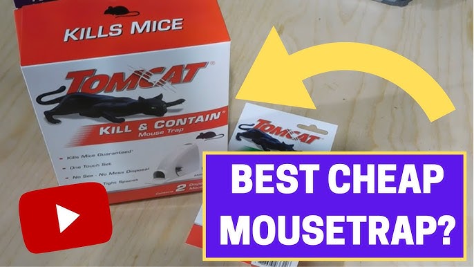 Buy Tomcat Kill & Contain Mouse Trap