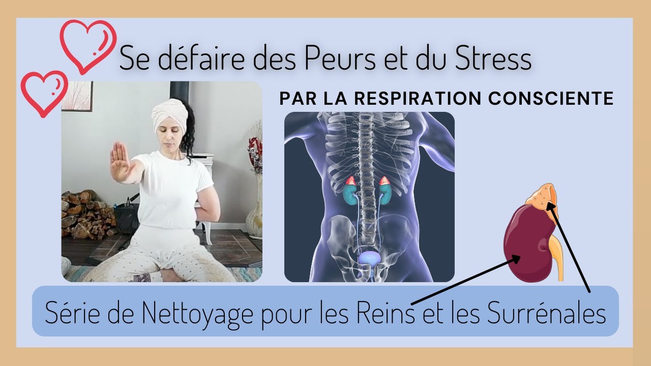 Kriya Kundalini pour les reins et les surrénales - se libérer de la peur et du stress en respirant!