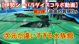 自由の具現化【伊勢シーパラダイスコラボ】