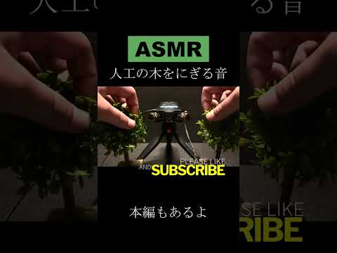 偽物の木をにぎるASMR