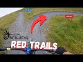 ALL RED TRAILS | MTB Antur Stiniog Bike Park