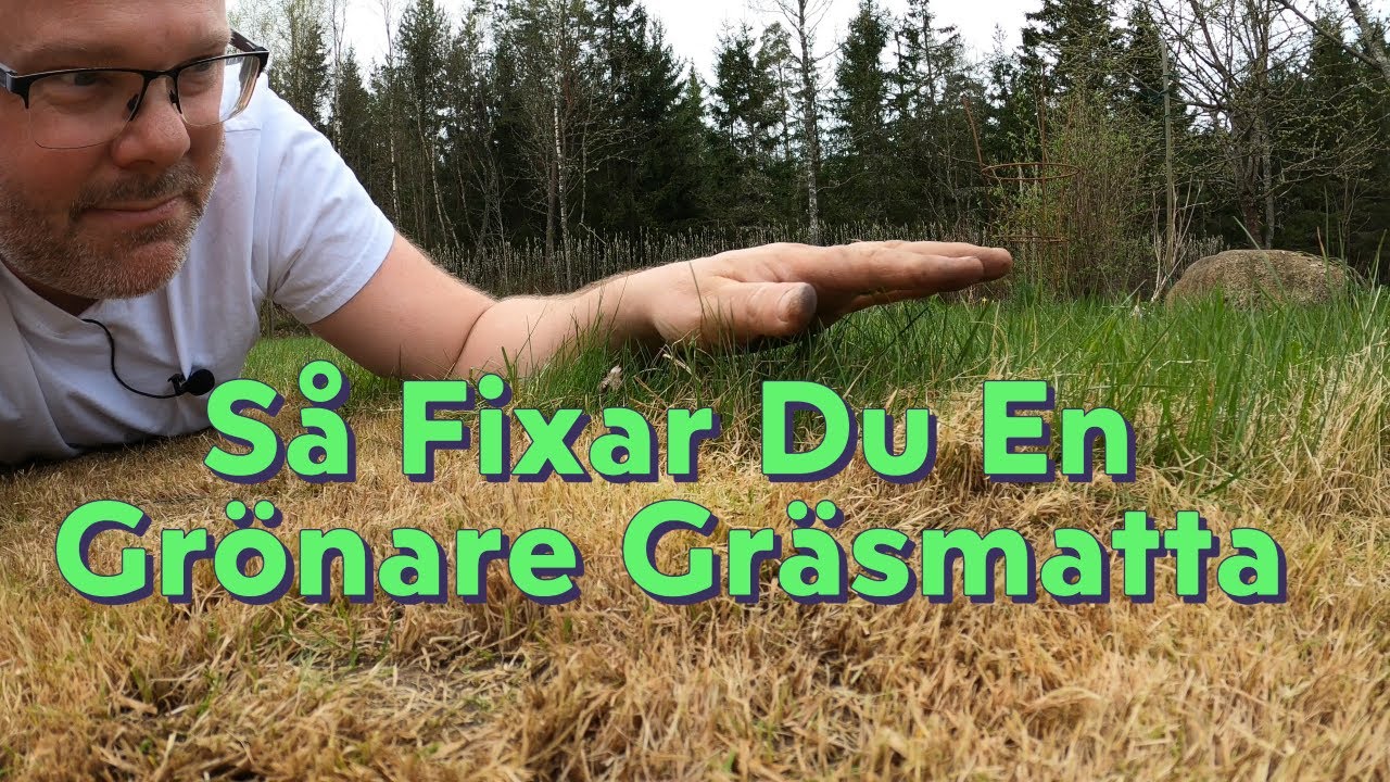 Frisk och Grön Gräsmatta – Såhär Återupplivar Du Den