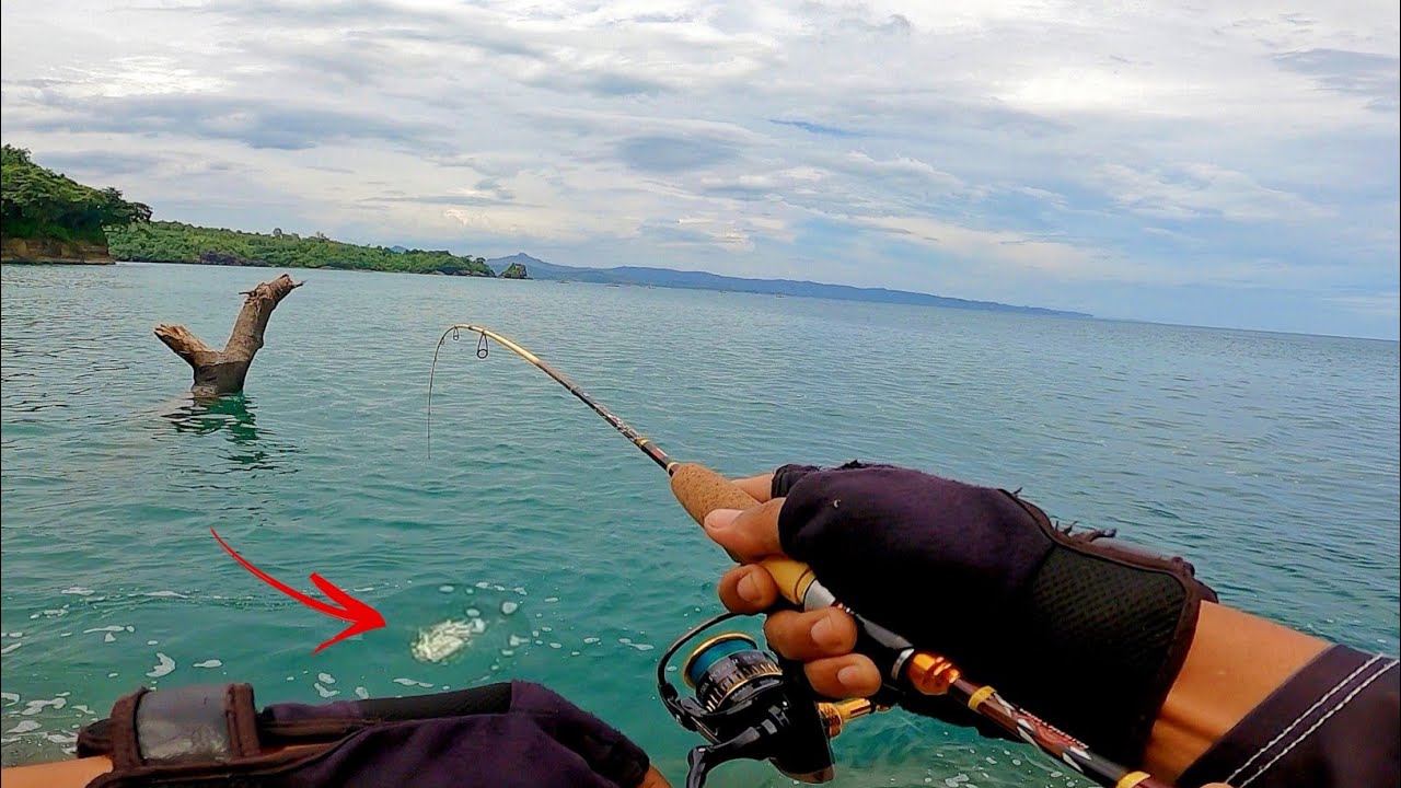 POSITIF POINT GT, MANCING DI SPOT POHON TUMBANG INI ‼️ MANCING PINGGIRAN LAUT