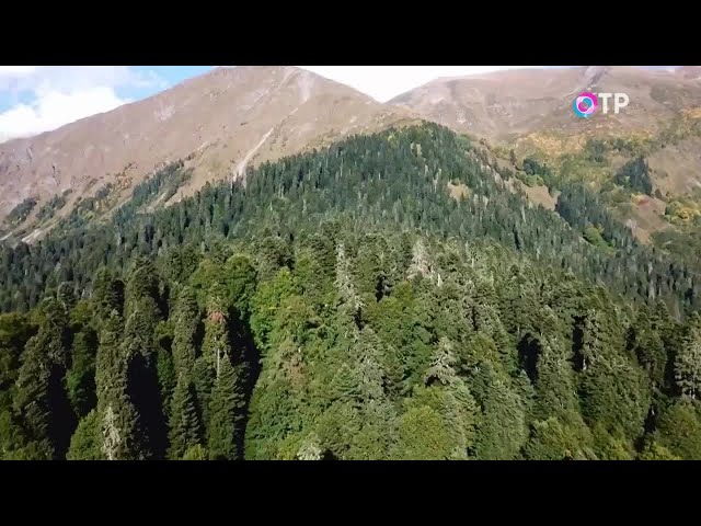 Соседи динозавры. Палеонтологи ищут ответ на сложный вопрос