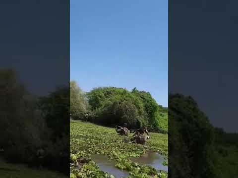 Danab Special Forces Somalia