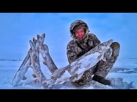БЕДА, А НЕ РЫБАЛКА!! ДИКИЙ ЖОР ЩУКИ В ЗАПОЛЯРНУЮ МЕТЕЛЬ !!!