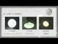エコ照明・省エネ照明はECOLVD | 大作商事