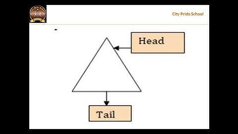 CPs sub Computer std 2 L 2 Video 16