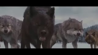 Душераздирающая песня на известный фильм, с элементами ужастика. Смотреть только с 18 лет ! Душераздирающая песня на известный фильм, с элементами ужастика. Смотреть только с 18 лет !