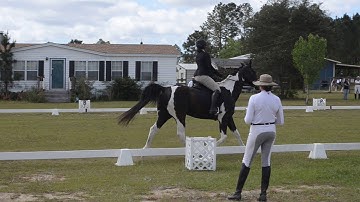 Intro Test C 3/30/2019