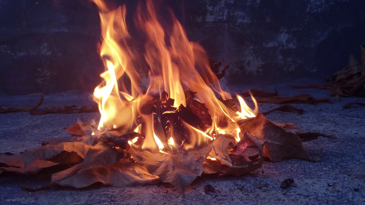 Burning Dried Leaves YouTube