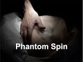 Phantom Spin