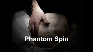 Phantom Spin