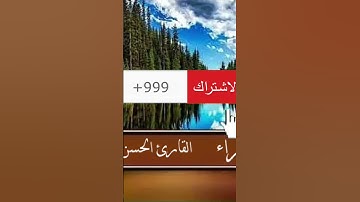 تلاوة  تريح القلوب للقارئ الحسن سيد الشنقيطى من سورة الإسراء/القرآن الكريم