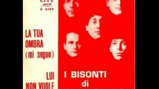 Miniatura del video "I Bisonti di Bruno Castiglia - La tua ombra (mi segue) 1967"