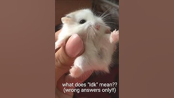 What Does "Idk" Mean?? (Wrong Answers Only!) #shorts #trend