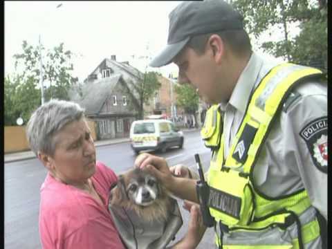 Video: Koks Bus Smūgis Pėsčiajam Pėsčiųjų Perėjoje