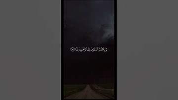 تلاة خاشعة ❤️‍🩹 #قران #fypシ゚viral #اكسبلور #المصحف #لايك #تلاوة_خاشعة #تيك_توك