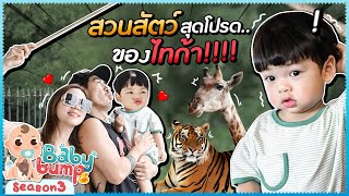 ไทก้าบุก...สวนสัตว์สุดโปรด!!!! EP.43 | Baby Bump 3