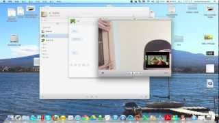 plug and play ( no software driver ) UVC capture card can work on MAC QQ or MAC MSN screenshot 5
