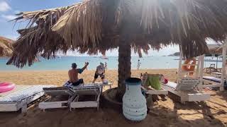 :       / FALCON NAAMA STAR SHARM EL SHEIKH /