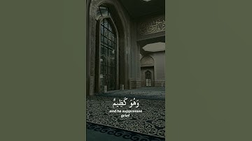 سورة النحل |57 - 59| القارئ : #عبدالرحمن_مسعد #quran #راحة_نفسية #viral #foryou #اجر_لي_ولكم🤎.