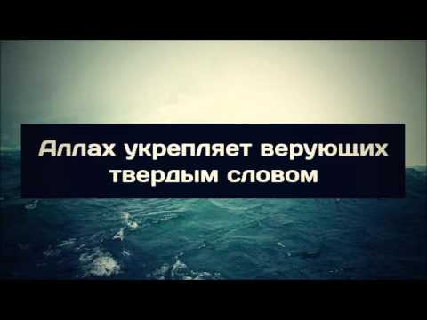 Аллах укрепляет верующих твердым словом ¦¦ Абу Яхья
