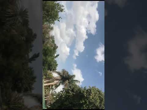 مشتل عليه ازالة بعد عشر ايام ومسوي تصفيه لكل المشاتل اللي عنده